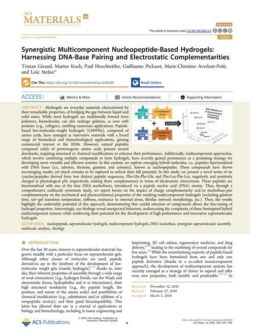 مقاله هیدروژل 2026 Synergistic Multicomponent Nucleopeptide-Based Hydrogels