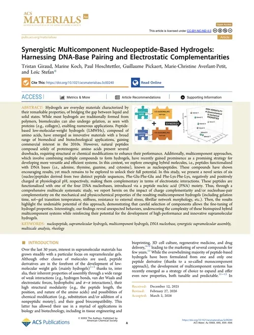 مقاله هیدروژل 2026 Synergistic Multicomponent Nucleopeptide-Based Hydrogels